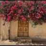 Фото профиля روني
