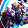 Фото профиля TyPurp