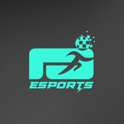 AriyEsport's profile picture