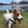 Ricardo 的头像