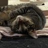 HIRO profil fotoğrafı
