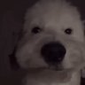 Profilbild von Brian