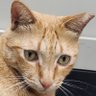 Ted's profile picture
