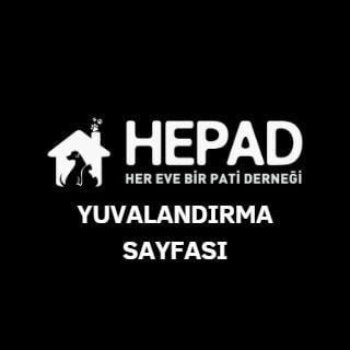 Hepad.hereve1pati 🐾🏡's profile picture