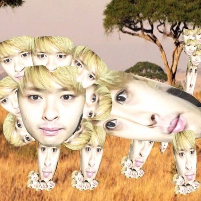 kmtfmr's profile picture