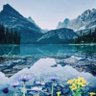 wafa almansoori profil fotoğrafı
