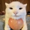 Profilbild von erika 🍉