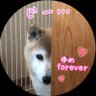 にょり profil fotoğrafı