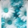 Estherk's profile picture