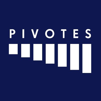 Pivotes_cl's profile picture