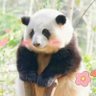 怡如's profile picture