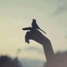 مارليـن☃️'s profile picture