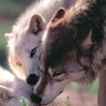 Sherry Blanchard's profile picture
