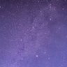 Trevor's profile picture