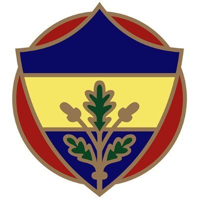 fenerbahcefootball.com's profile picture