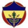 fenerbahcefootball.com's profile picture