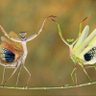 Cindy Stewart 的头像