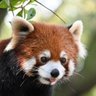 よまる's profile picture