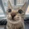 bxxxh profil fotoğrafı