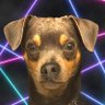 Tommy's profile picture