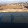 sarsam profil fotoğrafı
