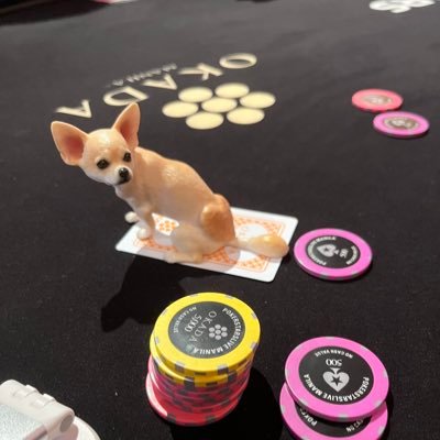 sagamiharapoker's profile picture