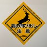 Фото профиля 11アイランド🦌