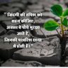 Фото профиля Vipin Maurya