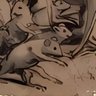 Ragondin Cosmopolite's profile picture