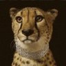 شهد🐆 的头像