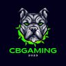 Profilbild von CBGAMING