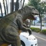 トラタカ 的头像