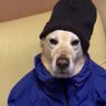 TruckDuckLuck's profile picture