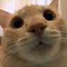 Profilbild von hsu
