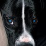 Muñeca's profile picture