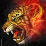 Profilbild von نمر بن همام
