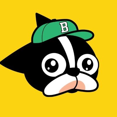 BBRC Official's profile picture