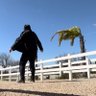 WindGoji profil fotoğrafı