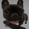 Profilbild von James Z