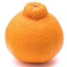きのこデコポン profil fotoğrafı
