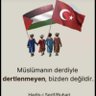 yalçın....'s profile picture