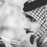 مشعل profil fotoğrafı