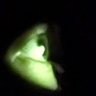 Profilbild von bones