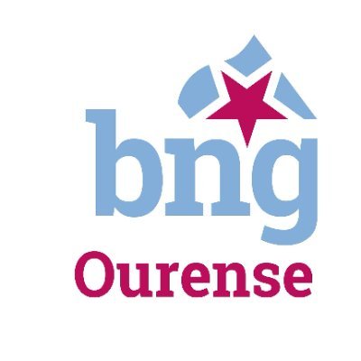 BNGOUrense's profile picture