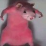 Profilbild von Harold