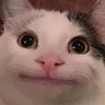 gg123's profile picture