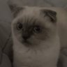 Profilbild von poof