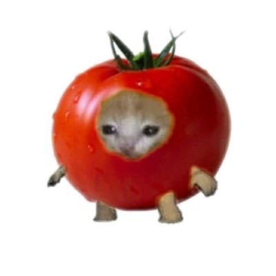 마또's profile picture