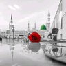 عبدالله اسحاقی's profile picture