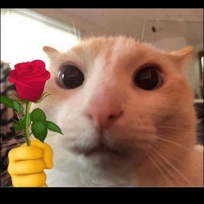 mabel's profile picture